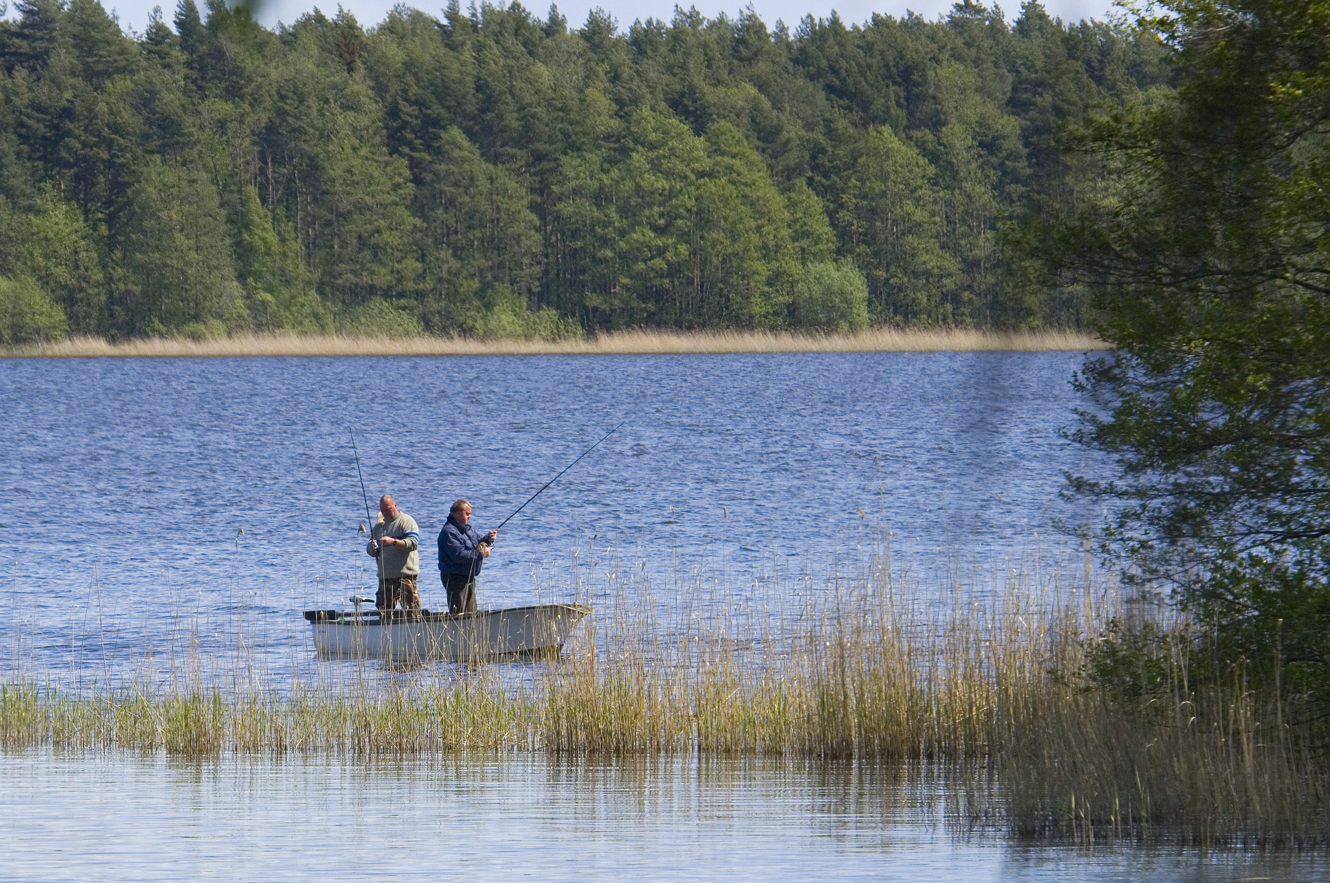To stående mænd med fiskestænger i en jolle på Isefjorden med skov i baggrunden.