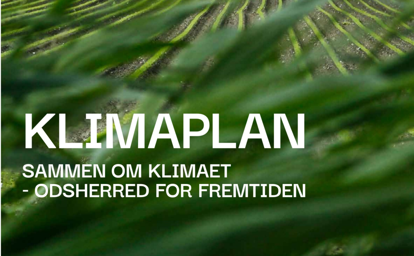 DK2020 klimaplan