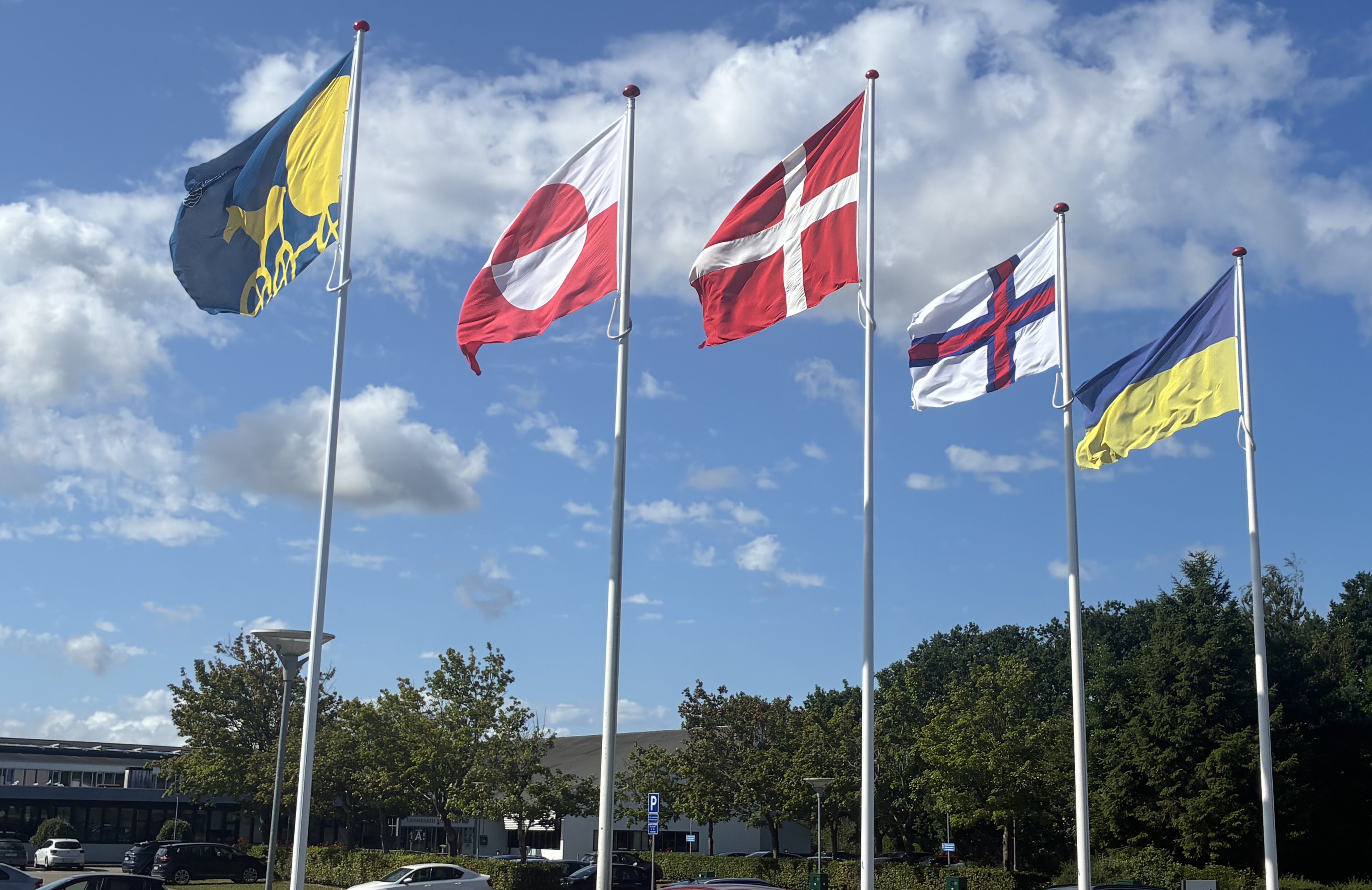 Fem flagstænger med flag