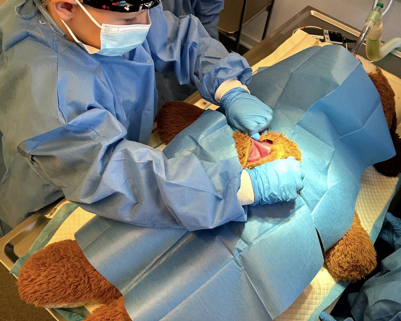 Kejsersnit på bamse