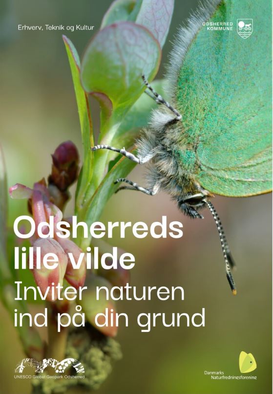 Forsiden af folderen Den lille vilde