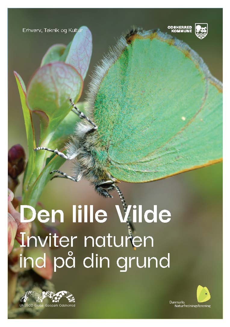 Forsiden af folderen Den lille vilde